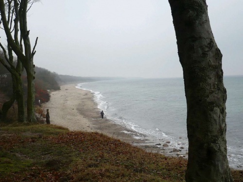 Steilküste zw. Kühlungsborn/Heiligendamm