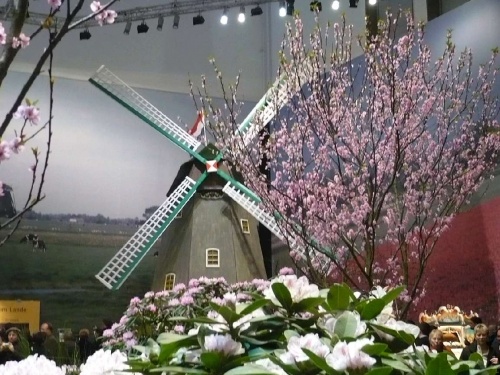 Grüne Woche BlumenPracht4