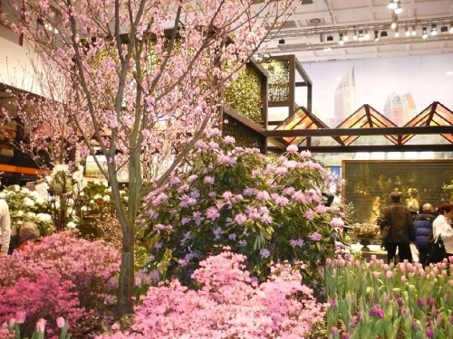 Grüne Woche BlumenPracht5