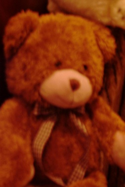 Teddy