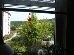 PachTs Blick vom Schreibtisch