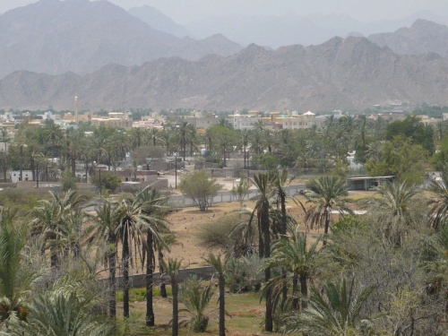 43 Fujairah Blick v. Wachturm