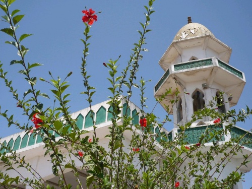 73 Salalah Jebel Qara