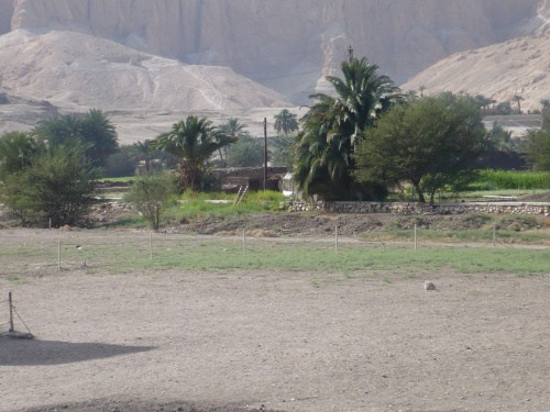 78 Luxor Auf der Fahrt_Fruchtbare Oasen