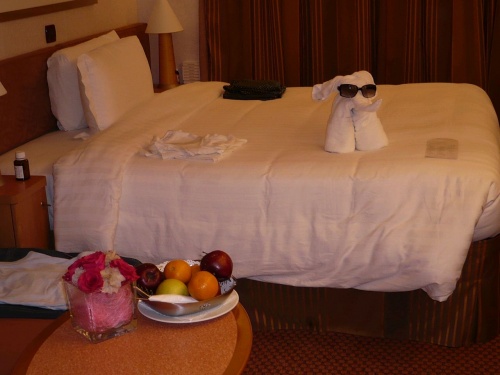 119 Überraschung in der Kabine