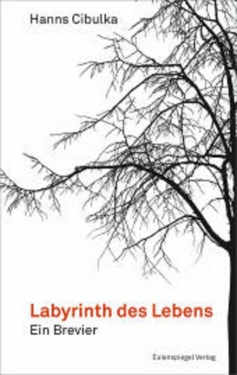 Labyrinth des Lebens - Hanns Cibulka