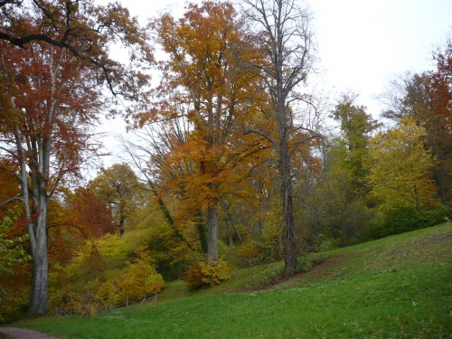 Weimar-Tiefurt 2 Park Herbst