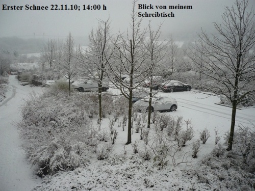 Erster Schnee 22.11.10 EF