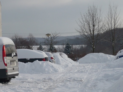 WINTER 2010 ERFURT-Melchendorf