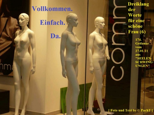 SSW174.Gedanke_DrKl6 Vollkommen