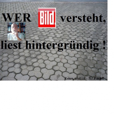 BILD verstehen