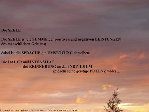 SSW05.Gedanke_Seele