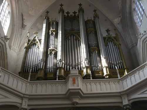 Greifswald Dom Orgel