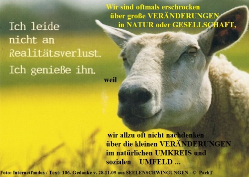 SSW106.Gedanke_Verluste