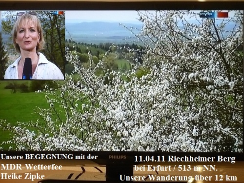 Frühling auf dem Riechheimer Berg