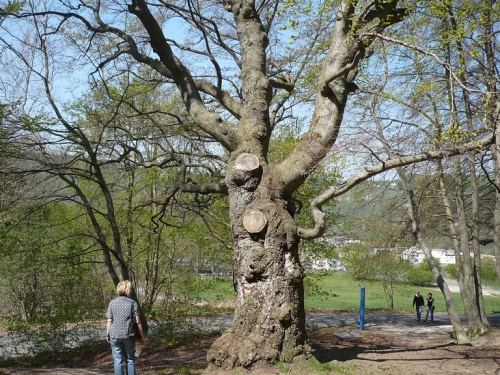 Bad Berka Osterausflug 