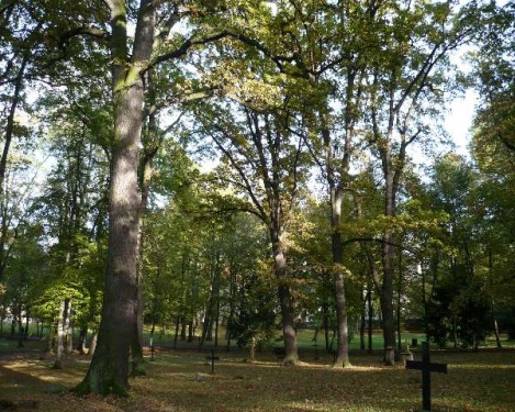Weimar 19 Historischer Friedhof