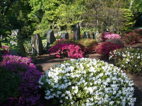 50 Jahre IGA - ega - egapark Erfurt Mai 2011