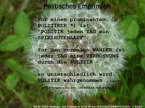 SSW210.Gedanke_Politik