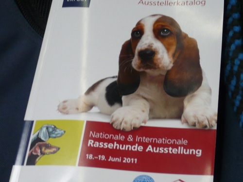 RassehundeAusstellung 2011 in Erfurt