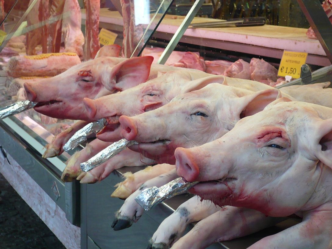 034 PALERMO Impressionen 6