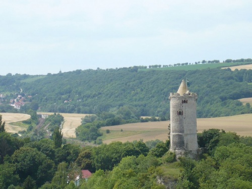Blick zur Saalburg