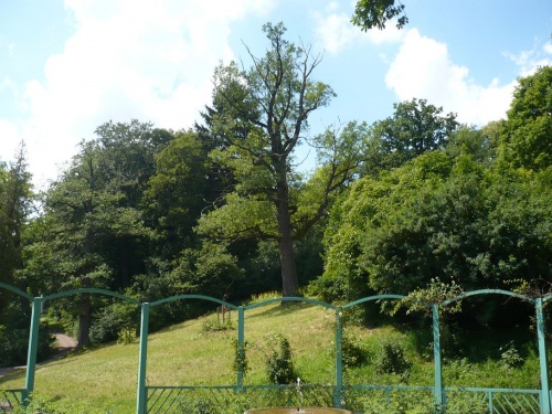 WEIMAR Schloß u. Park BELVEDERE
