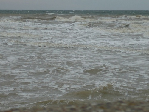 SeeTag - OstseeWellen