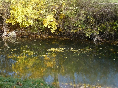Varianten -5- Goethes Gartenhaus im Herbst