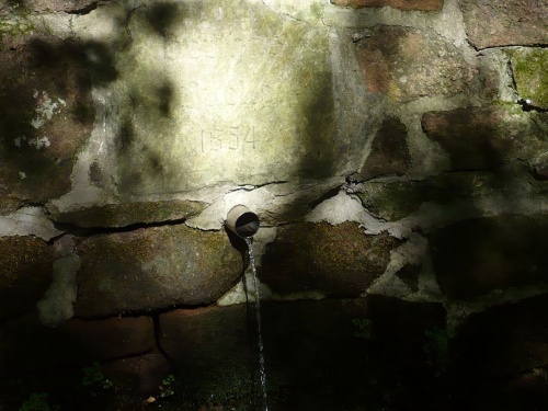 Ilmenau - 07 Weg zur Bertha-Quelle 14