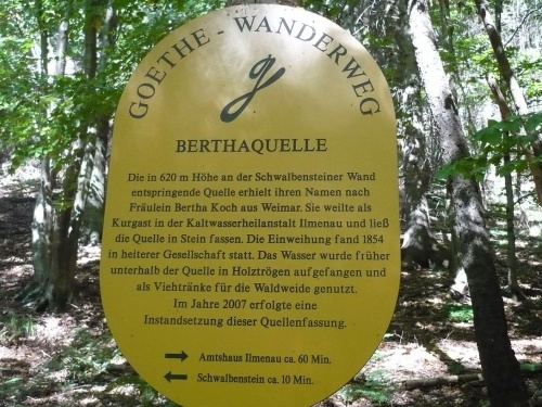 Ilmenau - 07 Weg zur Bertha-Quelle 13