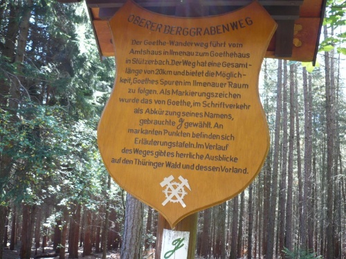 Ilmenau - 07 Weg zur Bertha-Quelle 12