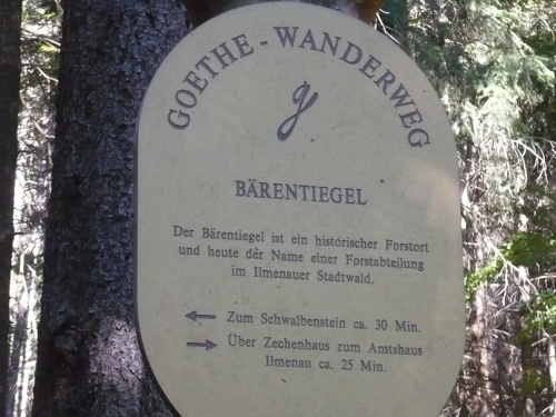 Ilmenau - 07 Weg zur Bertha-Quelle 10