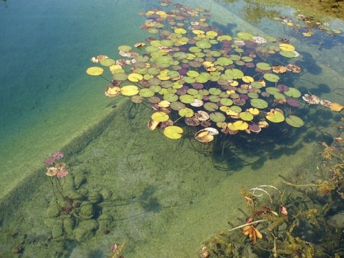 Bad Langensalza - Japanischer Garten
