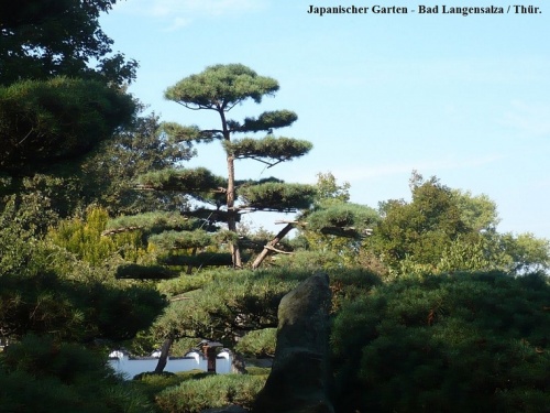 Bad Langensalza - Japanischer Garten