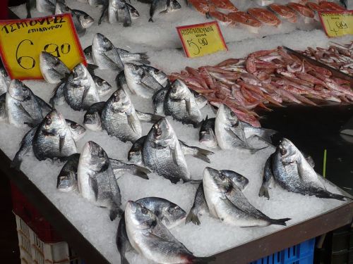 069 PIRÄUS Unser Spaziergang 3