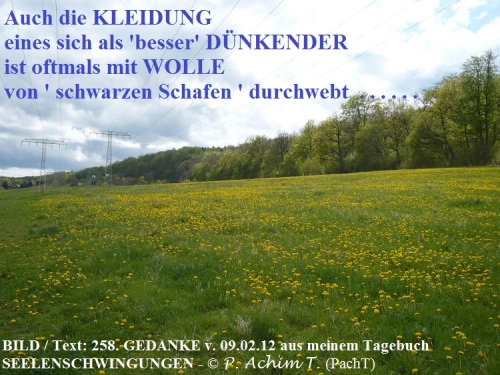 SSW258.Gedanke_Gleicher