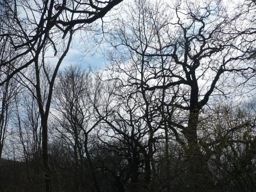 Bad Berka  Schloßberg