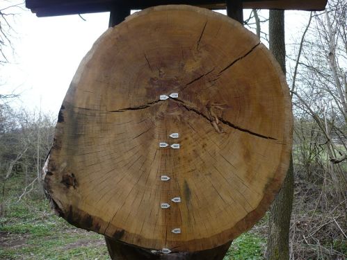 Bad Berka  Schloßberg_Geschichtsträchtig