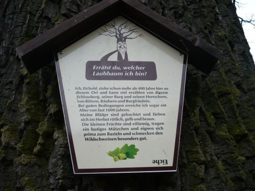 Bad Berka  Schloßberg