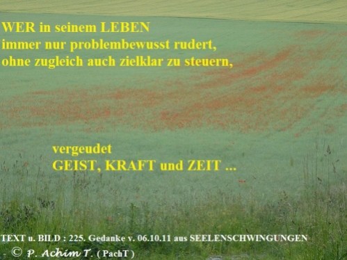 SSW225.Gedanke_Rudern und Steuern