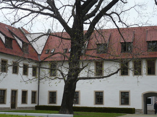 Anger  Wigbertkirche  Klosterhof