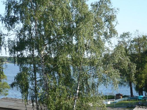 Urlaub bei Berlin 004 _ AM MELLENSEE