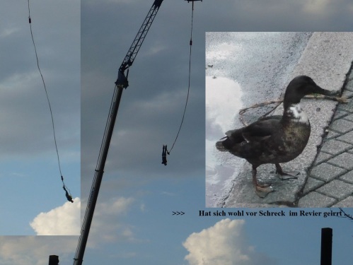 Erfurt   37. Krämerbrückenfest 2012