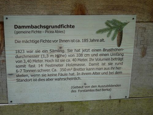 Bad Berka KneippWanderWeg Natur pur