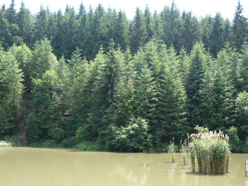 Bad Berka KneippWanderWeg Impression