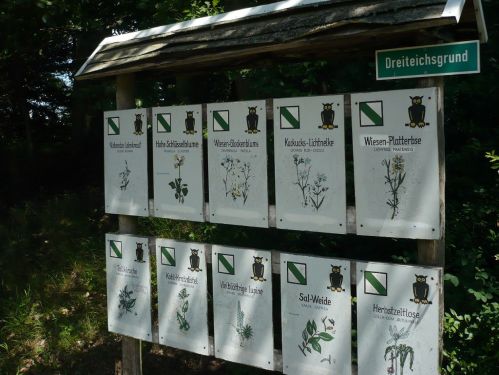 Bad Berka KneippWanderWeg Dreiteichsgrund