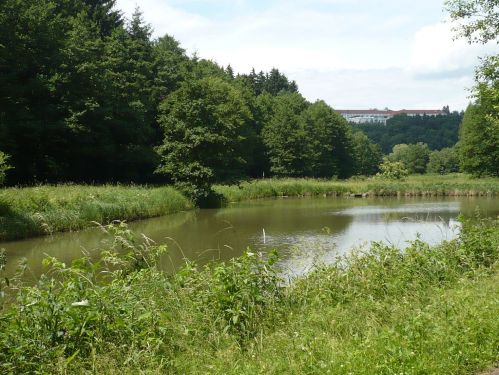 Bad Berka KneippWanderWeg 3.Teich