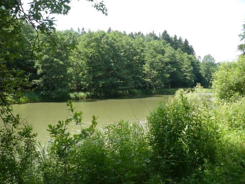 Bad Berka KneippWanderWeg 2.Teich