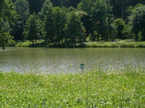 Bad Berka KneippWanderWeg 1.Teich